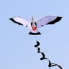 1.4M Bird kite Seagull Flying kite view 2