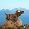 Articulated Dachshund | Home Dcor and Office Desk Toys | Autism, ADHD, Sensory | 3D Printed Gift view 1