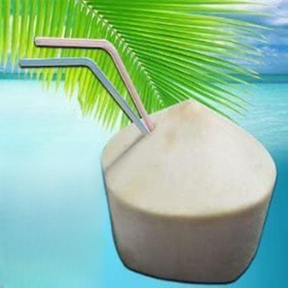 Coconut Opener Tool with Stainless Steel Drill and Plastic Handle for Fresh Coconut Water