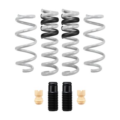 Eibach Drag-Launch-KIT