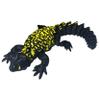 3D Printed Realistic Uromastyx with Articulating Limbs, Movable Tail, and Functional Jaw  Lifelike Collectible Reptile Model - 13" Long - Spiny Tailed Lizard view 1