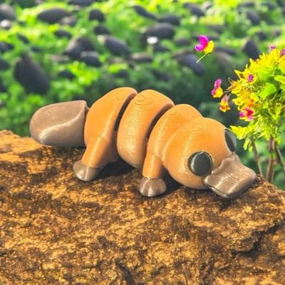 Articulated Platypus | Home Dcor and Office Desk Toys | Autism, ADHD, Sensory | 3D Printed Gift