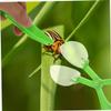 Hemoton 12pcs Scissors Clip Boys and Girls Catching Tools Safe Scissor Catchers for Outdoor Indoor Play Bug Catcher Toy view 4