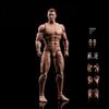 1/12 Scale Male Action Figure, Strong Muscle Man Figure Body 6 inches Flexible Male Aciton Figure Model with Detachable 3 Pairs of Hand Shapes & 2 Neck Connectors & Head Sculpt Various Accessory view 1