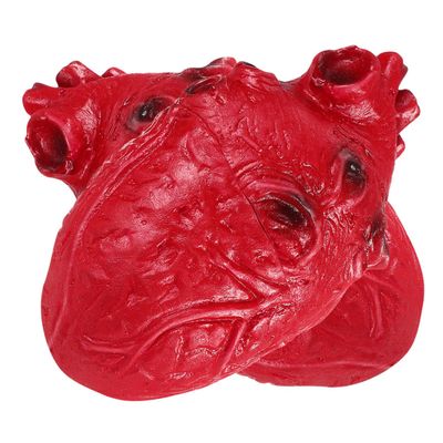 Totority 2pcs Lifelike Halloween Fake Heart Props Realistic Bloody Organ Decor for Haunted Houses Parties for Halloween Decorations