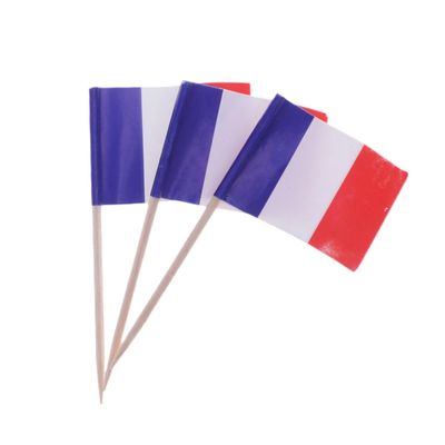 Ciieeo 100pcs French Flag Toothpick Picks for Cake Toppers Cupcake Decorations Party Supplies for Halloween and Birthday Celebrations