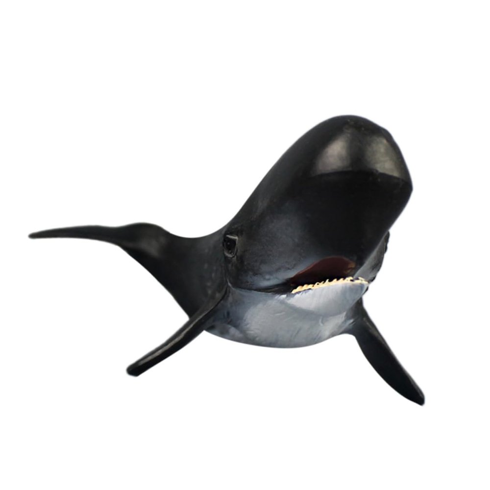 Abaodam Highly Detailed Whale Toy Ocean Toys for Boys and Girls Educational Marine Animal Model