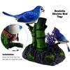 Tipmant Realistic Electronic Birds Toys Electric Animal Pets Move Chirp Home Office Table Desk Wall Decoration Kids Birthday Gifts view 2