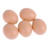 5 Pcs Realistic Brown Chicken Eggs, Fake Plastic Eggs Artificial Chicken Eggs,Painting and Realistic Egg,for Crafts Arts Imitation Dummy Eggs, Fake Eggs view 1