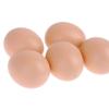 5 Pcs Realistic Brown Chicken Eggs, Fake Plastic Eggs Artificial Chicken Eggs,Painting and Realistic Egg,for Crafts Arts Imitation Dummy Eggs, Fake Eggs view 3