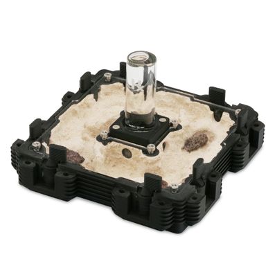Ant Dimension Ant Farm Natura Module 2:2  Professional, Modular and Adaptable to Many Species  Adjustable Humidity System with 4 Outlets (White)