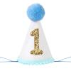 AULEGE First Birthday Crown, 1st Glitter Baby Cone Hat for Photo Prop, First Party Hat Outfit for Girls/Boys(White Blue) view 1