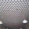 88JUNYh Balcony Safety Net Garden Anti Fall Safety Net Balcony Window Staircase(1Mx5M,Dia 8MM Grid10x10CM) view 4