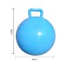 Kids Exercise Bouncing Ball with Easy Grip Handle, 440mm Ball for Indoor Outdoor Use, School PE Activity Toy That Develops Motor Skills (Blue) view 3