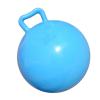 Kids Exercise Bouncing Ball with Easy Grip Handle, 440mm Ball for Indoor Outdoor Use, School PE Activity Toy That Develops Motor Skills (Blue) view 4