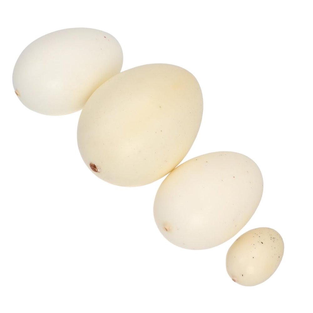 CIYODO 4pcs Bird Eggs Models Realistic Egg Toy Easter Toys for Boys and Girls