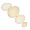 CIYODO 4pcs Bird Eggs Models Realistic Egg Toy Easter Toys for Boys and Girls view 1