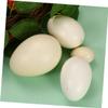 CIYODO 4pcs Bird Eggs Models Realistic Egg Toy Easter Toys for Boys and Girls view 4