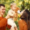 6 Pcs Safari Stuffed Animals Bulk Lion Elephant Monkey Tiger Toy Plush Zoo Animals Junble for Boy Girl Gift Animal Themed Parties Baby Shower Favor(Lion) view 4