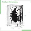 12 Bug Specimen Resin Blocks, Real Insects Preserved in Resin, Educational Science Toy for Kids, Men, and Women view 4