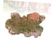 ORFOFE Dinosaur Landscaping Model Reptile Terrarium Basking Platform Dinosaur Skull Decor Diy Home Decor Ornament view 3
