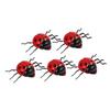 CIYODO 5Pcs Beetle Pulling String Educational Animal for Funny Clockwork Beetle with Random Colors for Learning and Play Activities view 1