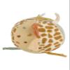 fabric ball safari view 2