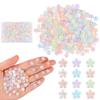 EVERMARKET 200 PCS Tiny Resin Flowers for Crafts Mini Flowers Dollhouse Miniatures for Car Fairy Garden Micro Landscaping Plant Nail Sticker Decorations(Flower) view 1