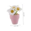 BCOATH Miniature Faux Daisy Flower Pot for Dollhouse Decor Lifelike Artificial Stylish Office Desk Bookshelf Accent No Maintenance Required for view 2