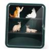 Abaodam Display Case Figures Dustproof Storage Cabinet Shelves Sturdy Plastic Design for Collectibles Suitable for Home Office Display view 1