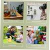 POPETPOP Garden Tools for Boys and Girls Gardening Shovels Rake Boy Girl-Friendly Mini Planting Tools Safe for Toddlers view 2