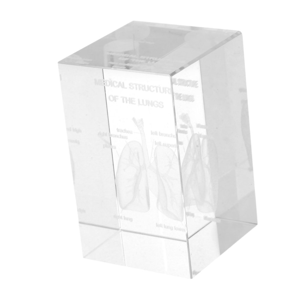 Anneome Crystal Lung Anatomical Model Engraved Crystal Cube Paperweight for Medical Students Doctors and Physiology Graduates Unique Decorative Christmas