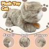 12" Cat Stuffed Animal Plush Toys for Kids, Kawaii Plushies Pillow, Cute Cat Stuffed Animals for Girls and Boys, Age of 3 and Up, Soft Plush Toys are, Birthday Gifts view 3