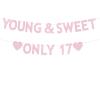 17th Birthday Party Decorations for Girls, Rose Gold Glitter Young & Sweet Only 17 Banner, Dancing Queen 17,Girls 17 Years Old Birthday Party Decorations Supplies view 1