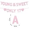 17th Birthday Party Decorations for Girls, Rose Gold Glitter Young & Sweet Only 17 Banner, Dancing Queen 17,Girls 17 Years Old Birthday Party Decorations Supplies view 2