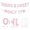 17th Birthday Party Decorations for Girls, Rose Gold Glitter Young & Sweet Only 17 Banner, Dancing Queen 17,Girls 17 Years Old Birthday Party Decorations Supplies view 3