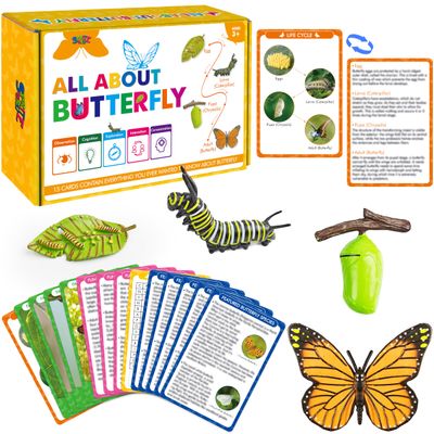 15 Butterfly Life Circle Flashcards with 4 Plastic Figurines, Butterflies Introduction Cards Plastic Insects Egg to Butterfly Kit Toy for Kids, Adults, Animal Lovers