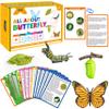 15 Butterfly Life Circle Flashcards with 4 Plastic Figurines, Butterflies Introduction Cards Plastic Insects Egg to Butterfly Kit Toy for Kids, Adults, Animal Lovers view 1