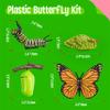 15 Butterfly Life Circle Flashcards with 4 Plastic Figurines, Butterflies Introduction Cards Plastic Insects Egg to Butterfly Kit Toy for Kids, Adults, Animal Lovers view 3