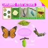 15 Butterfly Life Circle Flashcards with 4 Plastic Figurines, Butterflies Introduction Cards Plastic Insects Egg to Butterfly Kit Toy for Kids, Adults, Animal Lovers view 4