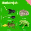 15 Frog Life Circle Flashcards with 5 Plastic Figurines, Frogs Introduction Cards Plastic Insects Tadpole to Frog Kit Toy for Kids, Adults, Animal Lovers view 3