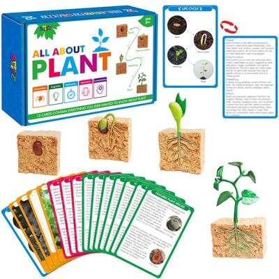 15 Plant Life Circle Flashcards with 4 Plastic Figurines-Seed to Plant, Plants Introduction Card Plants Growth Details for Nature Lovers & Adults, Montessori Toy for Kids