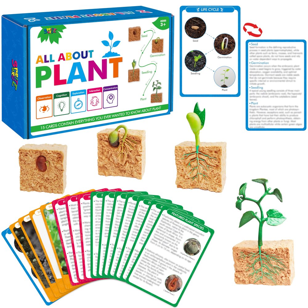 15 Plant Life Circle Flashcards with 4 Plastic Figurines-Seed to Plant, Plants Introduction Card Plants Growth Details for Nature Lovers & Adults, Montessori Toy for Kids