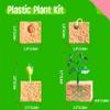 15 Plant Life Circle Flashcards with 4 Plastic Figurines-Seed to Plant, Plants Introduction Card Plants Growth Details for Nature Lovers & Adults, Montessori Toy for Kids view 3