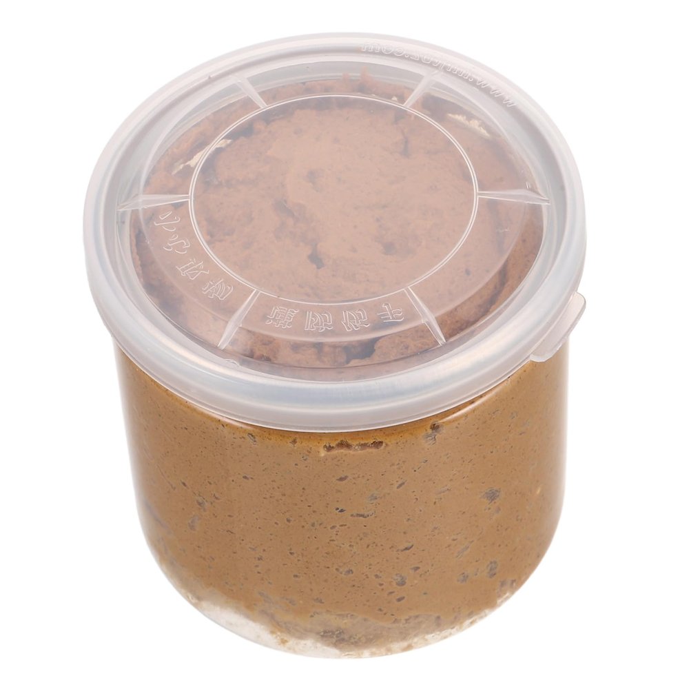 Angoily Microscopic Gardening Base Material Diorama Base Material for Intricate Model Scenery