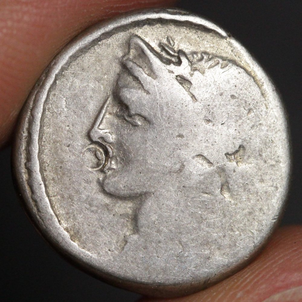 Ancient Roman Republic Coin Silver Denarius 46BC Venus Goddess of Love with Certificate of Authenticity