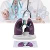 4D Lung Anatomical Model, Human Lung Model with Anti-Slip Base, High Simulation and Removable Design, Detachable Parts and Easy to Carry & Display, for Respiratory Study and Teaching Display view 2