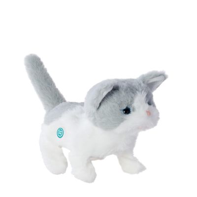 PetZoo Kitty