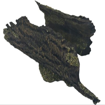 Legion Terrain - Forest Fallen Tree - Miniature Tabletop Wargaming Terrain (Painted)