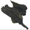 Legion Terrain - Forest Fallen Tree - Miniature Tabletop Wargaming Terrain (Painted) view 1